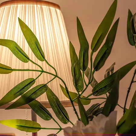 Iflat Classy & Spacious Near Campo De Fiori * Rzym